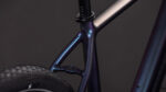 Cube-Editore-SLX-ammolitenreflex.jpg